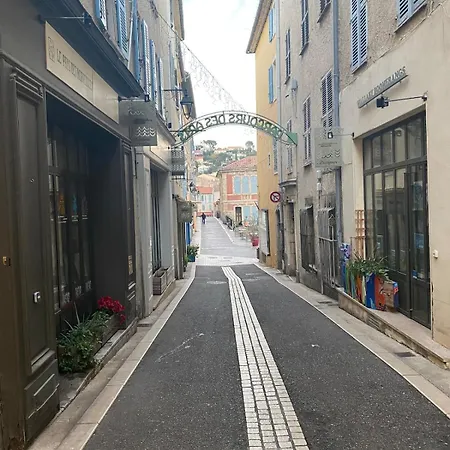 Franklin's Cocoon - Parcours Des Arts * Hyères